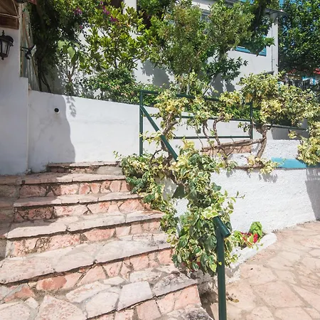 Andromaches Single * Korfu